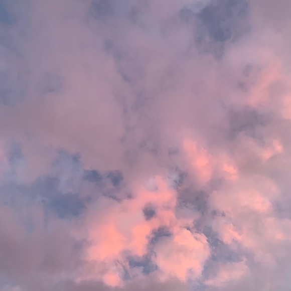 Meet your Posher, Divya - Picture 1 of 1